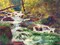 Mountain Stream Poster Print by Carol Bailey - Item # VARPDXBAI108